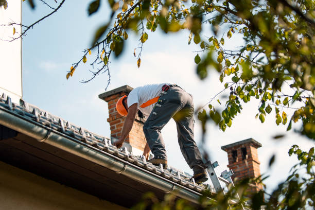 Best Storm Damage Roof Repair  in Narberth, PA